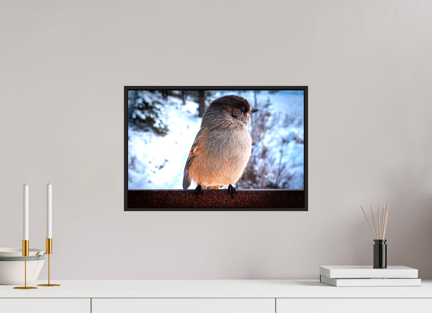 Mésangeai imitateur