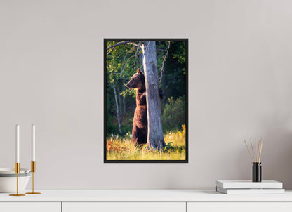 L'ours et son arbre