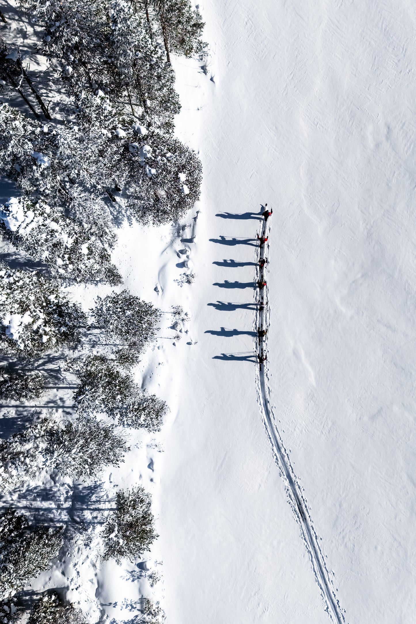 Nomads
