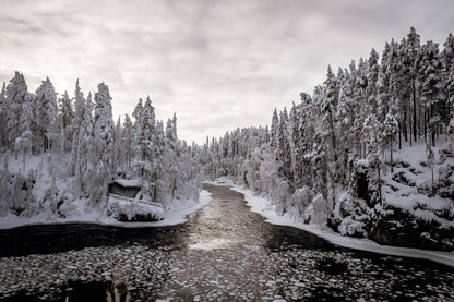Oulanka Cabin in Winter