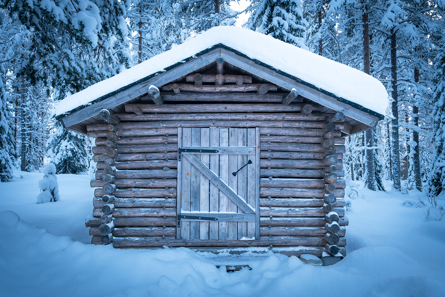 Cabane à bois