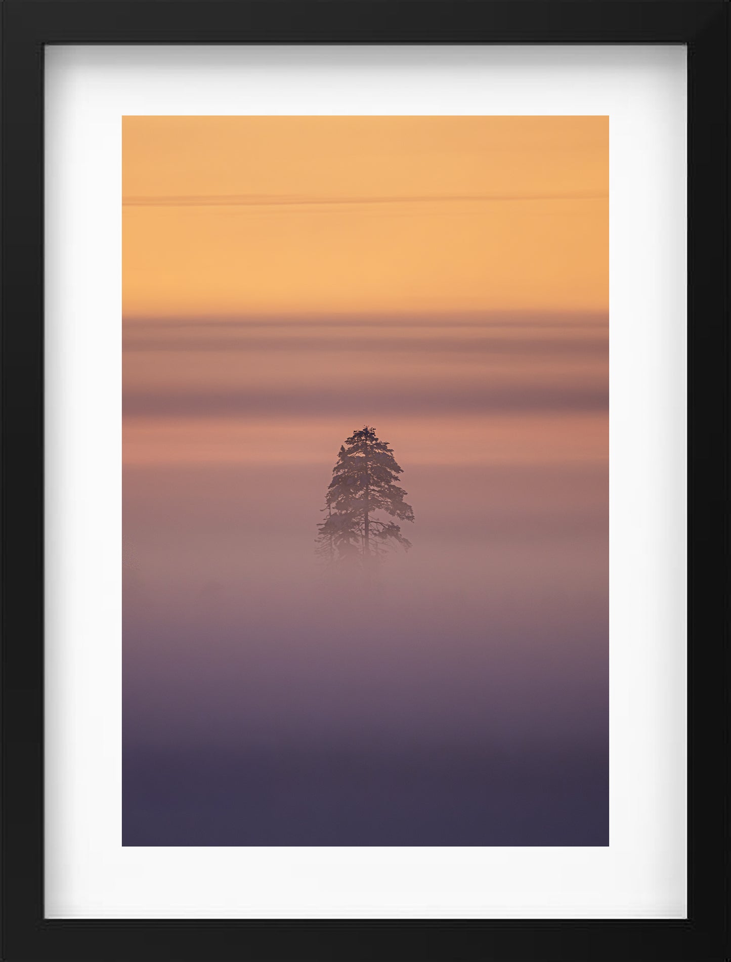 Tree in the mist